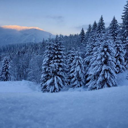 Nature House Предял Экстерьер фото
