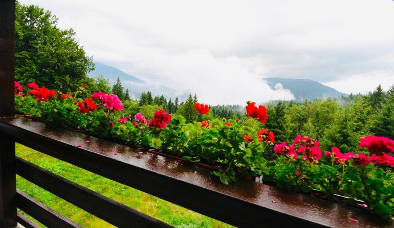 Nature House Предял Экстерьер фото